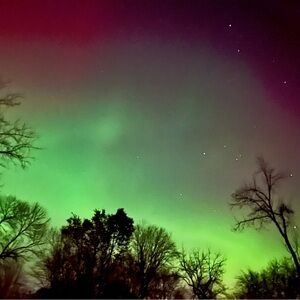 Meet your Posher, Amelia